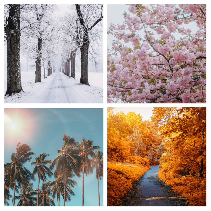 Four Seasons( An Acrostic Poem)